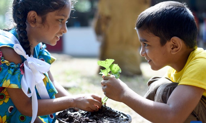 Children plant a sapling on World Soil Day in Gampaha, Sri Lanka on Dec. 5, 2024. Dec. 5 marks World Soil Day, a day designated by the United Nations to highlight the importance of healthy soils and to advocate sustainable management of soil resources. Photo: Xinhua