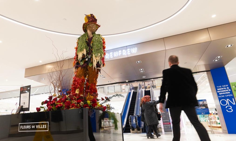 A man walks past a floral installation on display during the Fleurs de Villes NO?L event in Toronto, Canada, on Dec. 6, 2024. The event is held here from Dec. 4 to Dec. 8, featuring 30 floral installations. Photo: Xinhua
