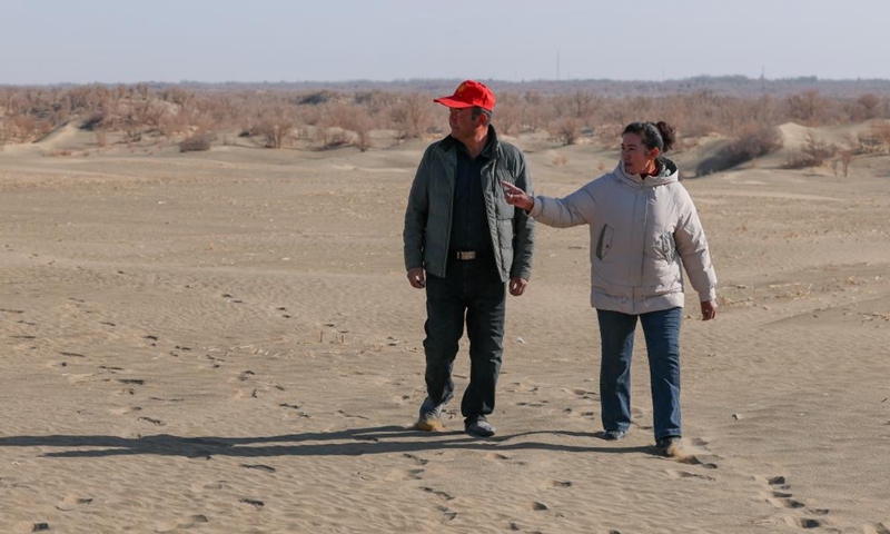 Memet Metseyit and his wife inspect the sandy land they contracted in Minfeng County, northwest China's Xinjiang Uygur Autonomous Region, Dec. 4, 2024. (Photo: Xinhua)