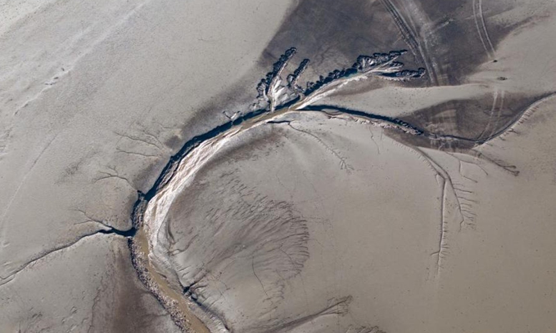 Amazing Chinese dragon patterns are captured at the Yellow Sea wetland in Yancheng,east China's Zhejiang Province, Dec. 8, 2024.
Tidal trees are natural textures left after low tide due to the abundance of soil in the Yellow Sea.(Photo: ecns.cn)