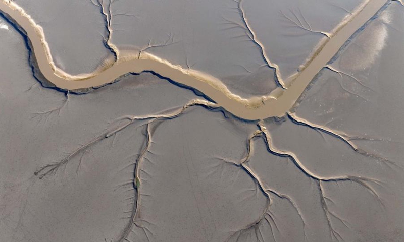 Amazing Chinese dragon patterns are captured at the Yellow Sea wetland in Yancheng,east China's Zhejiang Province, Dec. 8, 2024.
Tidal trees are natural textures left after low tide due to the abundance of soil in the Yellow Sea.(Photo: ecns.cn)