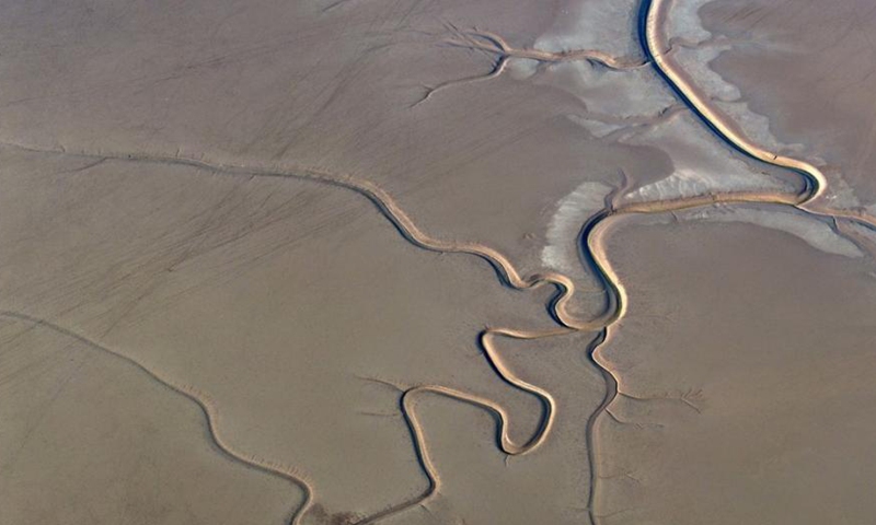 Amazing Chinese dragon patterns are captured at the Yellow Sea wetland in Yancheng,east China's Zhejiang Province, Dec. 8, 2024.
Tidal trees are natural textures left after low tide due to the abundance of soil in the Yellow Sea.(Photo: ecns.cn)