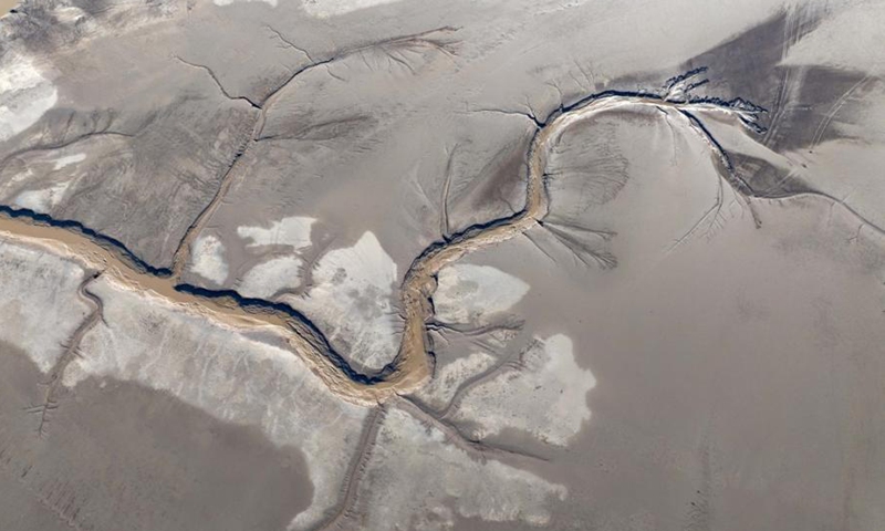 Amazing Chinese dragon patterns are captured at the Yellow Sea wetland in Yancheng,east China's Zhejiang Province, Dec. 8, 2024.
Tidal trees are natural textures left after low tide due to the abundance of soil in the Yellow Sea.(Photo: ecns.cn)