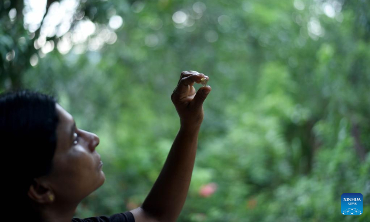 A woman checks a gemstone in a small shop in Monaragala, Sri Lanka, on Dec. 19, 2024. Sri Lanka is rich in precious gems such as sapphires and rubies. (Photo:Xinhua)