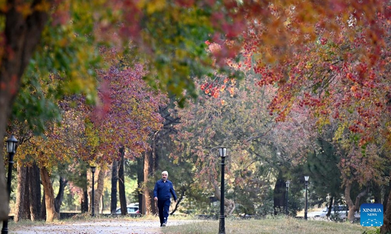 A girl plays at a park in early winter in Islamabad, Pakistan on Dec. 11, 2024.(Photo: Xinhua)