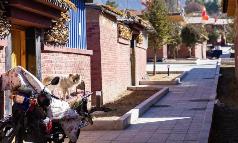 This photo taken on Dec. 15, 2024 shows the new Daman Village in Jilung Town of Xigaze in southwest China's Xizang Autonomous Region. The new Daman Village, about 30-kilometer away from the China-Nepal border, is the only habitat of Daman people in China. The living condition in the village has been improved substantially in recent years. A series of homestay facilities under construction there are expected to boost the local annual per capita income to 2,000 yuan (about 275 U.S. dollars) when operational. (Xinhua/Tenzin Nyida)