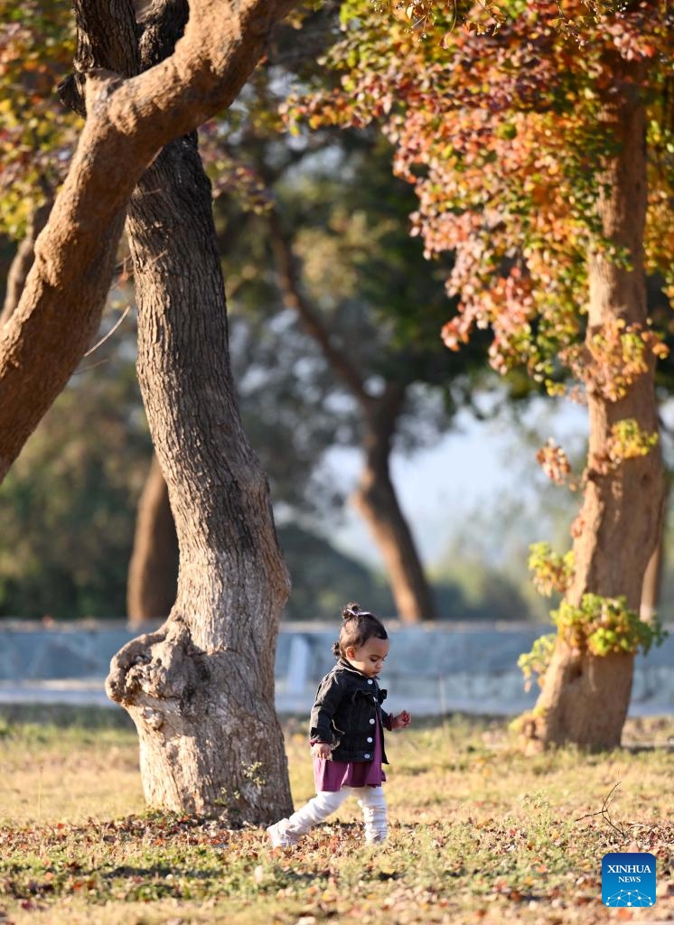 A girl plays at a park in early winter in Islamabad, Pakistan on Dec. 11, 2024. (Photo: Xinhua)