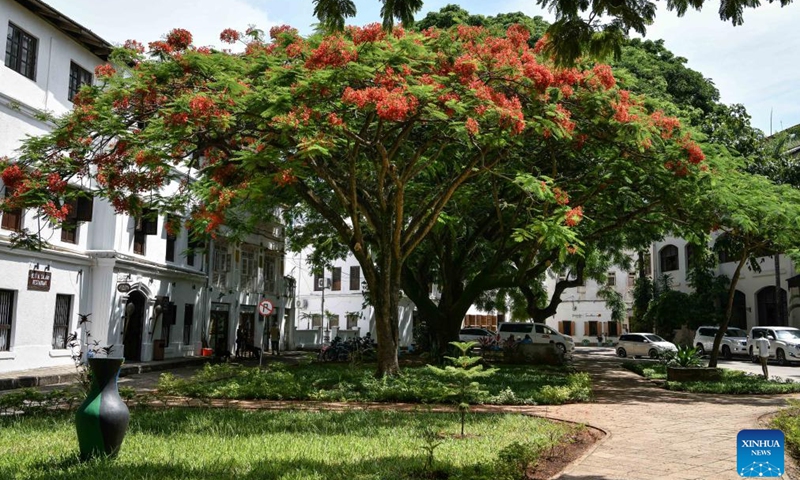 This photo taken on Dec. 8, 2024 shows a view in the Stone Town in Zanzibar, Tanzania. Stone Town, designated as a World Heritage Site by the United Nations Educational, Scientific and Cultural Organization in 2000, is a prime example of the Swahili coastal trading towns of East Africa. It retains its urban fabric and townscape largely intact, with many fine buildings reflecting a unique culture that blends African, Arabian, Indian, and European influences accumulated over more than a millennium. (Xinhua/Han Xu)