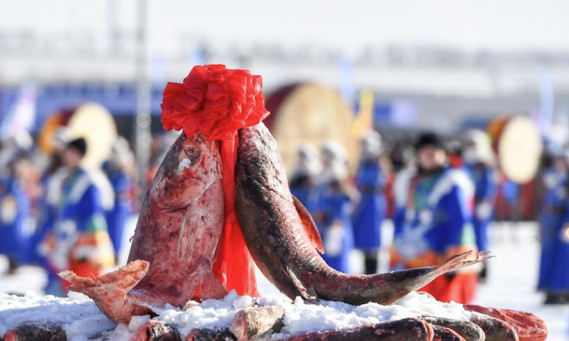 This photo taken on Dec. 28, 2024 shows a scene at a ceremony marking the start of winter fishing at Chagan Lake in Songyuan City of northeast China's Jilin Province. A winter fishing-themed cultural and tourism festival kicked off on Saturday at Chagan Lake.
Chagan Lake, located in Songyuan City of Jilin Province, is the largest natural lake of the province with abundant fishery resources. Locals living by Chagan Lake have kept alive the tradition of ice fishing by hand-drilling holes through the thick ice and casting nets into the icy waters to catch fish.
The winter fishing at Chagan Lake, included in the national intangible cultural heritage list, has become a famous tourism attraction in the city. (Xinhua/Zhang Nan)