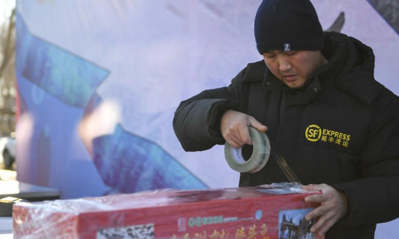 A deliveryman packs a fish product at Chagan Lake in Songyuan City of northeast China's Jilin Province, Dec. 27, 2024. A winter fishing-themed cultural and tourism festival kicked off on Saturday at Chagan Lake.
Chagan Lake, located in Songyuan City of Jilin Province, is the largest natural lake of the province with abundant fishery resources. Locals living by Chagan Lake have kept alive the tradition of ice fishing by hand-drilling holes through the thick ice and casting nets into the icy waters to catch fish.
The winter fishing at Chagan Lake, included in the national intangible cultural heritage list, has become a famous tourism attraction in the city. (Xinhua/Zhang Nan)