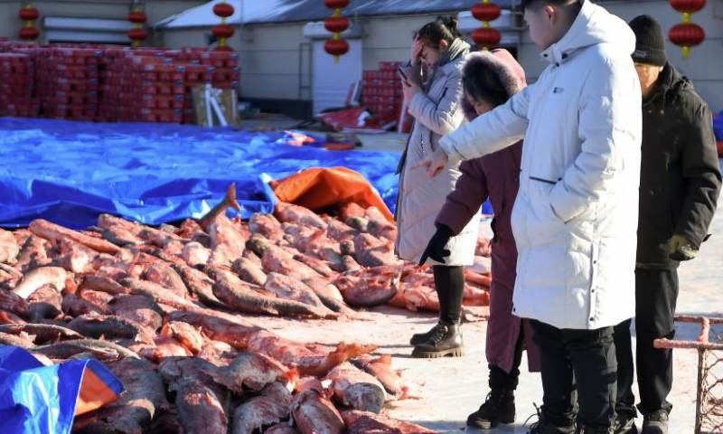 People purchase fish at a market at Chagan Lake in Songyuan City of northeast China's Jilin Province, Dec. 27, 2024. A winter fishing-themed cultural and tourism festival kicked off on Saturday at Chagan Lake.
Chagan Lake, located in Songyuan City of Jilin Province, is the largest natural lake of the province with abundant fishery resources. Locals living by Chagan Lake have kept alive the tradition of ice fishing by hand-drilling holes through the thick ice and casting nets into the icy waters to catch fish.
The winter fishing at Chagan Lake, included in the national intangible cultural heritage list, has become a famous tourism attraction in the city. (Xinhua/Zhang Nan)