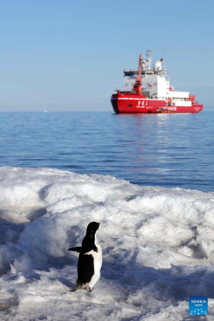 Chinese research icebreaker Xuelong 2, or Snow Dragon 2, is pictured near China's Qinling Station in Antarctica on Dec. 27, 2024. Chinese research icebreaker Xuelong 2, or Snow Dragon 2, and cargo vessel Yong Sheng, which are on China's 41st Antarctic expedition, arrived at China's Qinling Station in Antarctica on Dec. 25 and carried out unloading operations. (Xinhua/Huang Taoming)