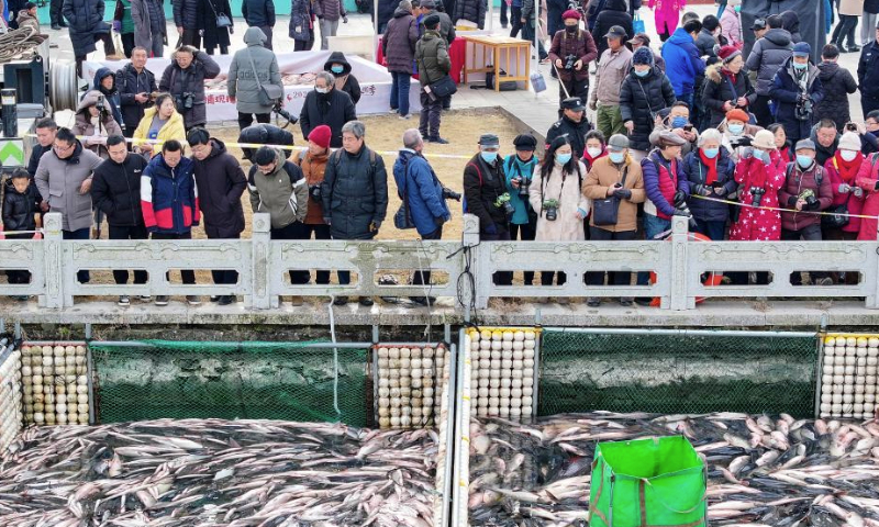 A drone photo shows people watching the freshly caught fish on the bank of Zhenhu Lake during a winter fishing festival in Jiangyan District of Taizhou, east China's Jiangsu Province, Jan. 11, 2025. The winter fishing festival opened at Zhenhu Lake in Jiangyan District of Taizhou on Saturday. (Photo by Gu Jihong/Xinhua)