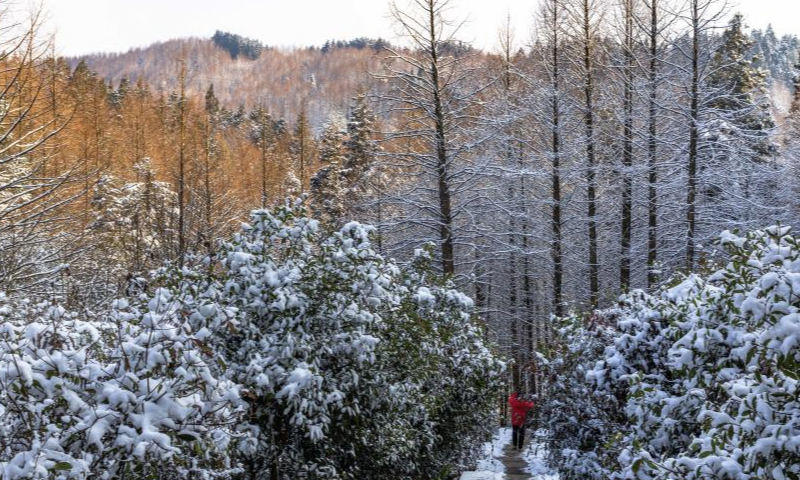 A tourist enjoys the snow scenery at the Shanwangping Karst national ecological park, in Nanchuan District of southwest China's Chongqing, Jan. 11, 2025. (Photo by Qu Mingbin/Xinhua)