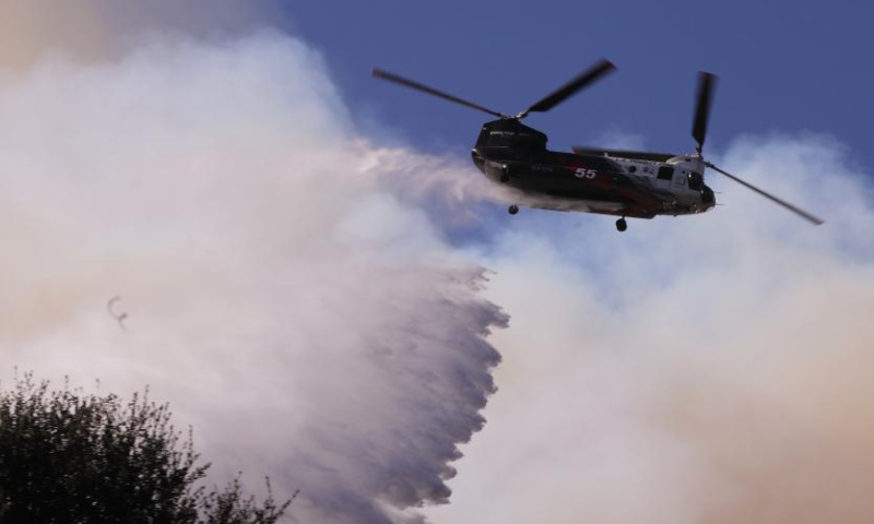 A firefighting helicopter drops water to prevent the wildfire from spreading further on the hills of Mandeville Canyon in Los Angeles, California, the United States, on Jan. 11, 2025. At least 16 people have been killed by blazes as thousands of firefighters race to battle spreading wildfires across Los Angeles County, the most populous U.S. county, local authorities said Saturday. (Photo by Qiu Chen/Xinhua)