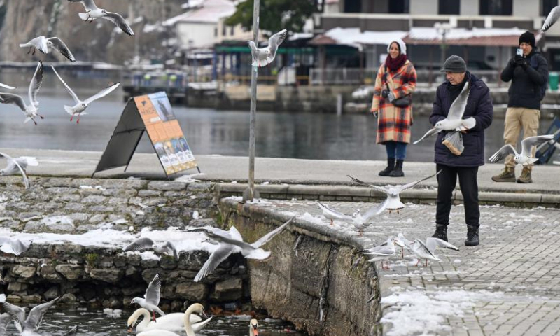 A man feeds birds at Lake Ohrid in Ohrid, North Macedonia, on Jan. 15, 2025. (Photo by Tomislav Georgiev/Xinhua)