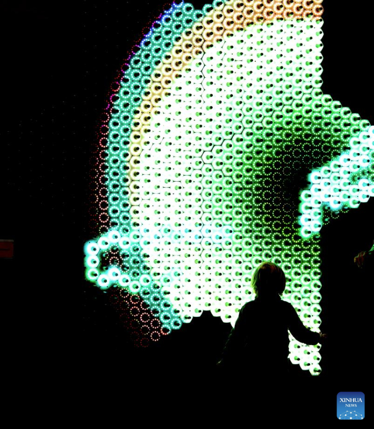 A child plays with an art installation named Quantum Jungle at Young V&A in London, Britain, Jan. 14, 2025. Quantum Jungle, an interactive light installation, features a mass of touch-sensitive tactile springs and LEDs. (Xinhua/Li Ying)