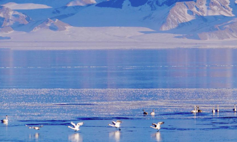 This photo shows a view of Sayram Lake in Bortala Mongolian Autonomous Prefecture, northwest China's Xinjiang Uygur Autonomous Region, Jan. 14, 2025. (Xinhua/Du Juanjuan)