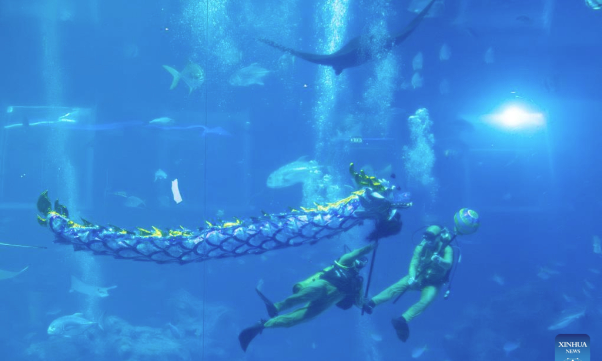 Divers perform underwater dragon dance in celebration of the upcoming Chinese Lunar New Yea at the S.E.A. Aquarium in Singapore, Jan. 20, 2025. (Photo by Then Chih Wey/Xinhua)