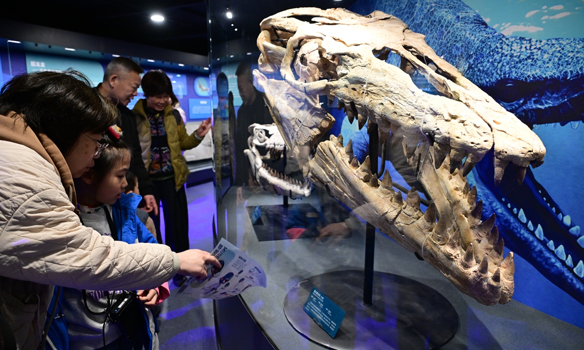 Parents take their children to view a fossilized Mosasaurus skull at the Natural History Museum of China in Beijing on January 14, 2025. On that day, <em>The Rise of Vertebrates</em> exhibition hall opened to the public. The exhibition features a total of 197 items, with more than 70 percent of the exhibits being shown for the first time. Photo: VCG