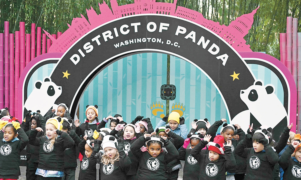 Children from the Yu Ying Public Charter School sing at the Smithsonian's National Zoo in Washington, DC, before giant pandas Bao Li and Qing Bao make their public debut on January 24, 2025 local time. Sent as part of a 10-year international giant panda protection cooperation program, the 3-year-old pandas, Bao Li, a male, and Qing Bao, a female, arrived in the US capital city on October 15, 2024. Photo: VCG
