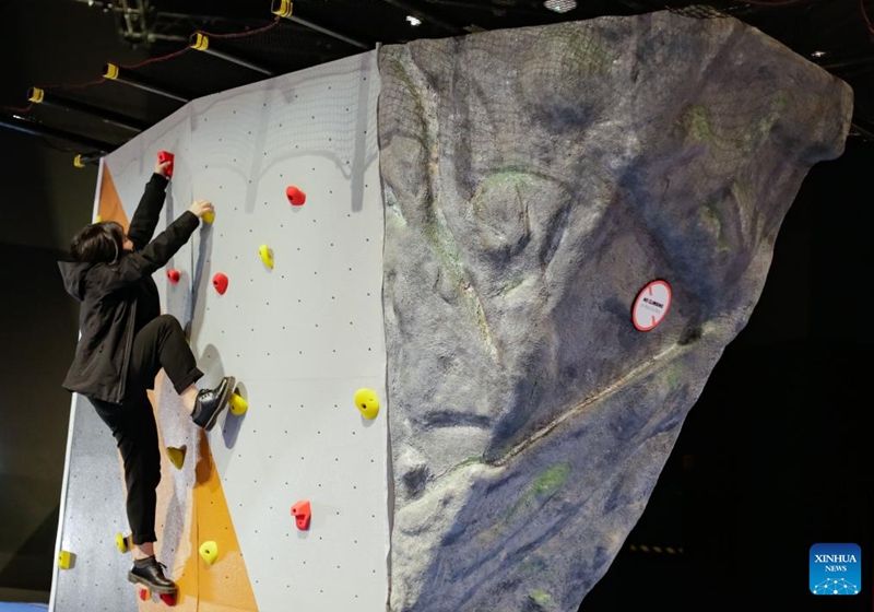 A woman tries out rock climbing during a media preview of the Extreme Sports: Beyond Human Limits exhibition in Vancouver, British Columbia, Canada, on Jan. 30, 2025. Showcasing some of the most extreme sports in the world, including mountain climbing, skydiving, and deep-sea diving, the exhibition runs from Jan. 31 to May 19, 2025. Photo: Xinhua