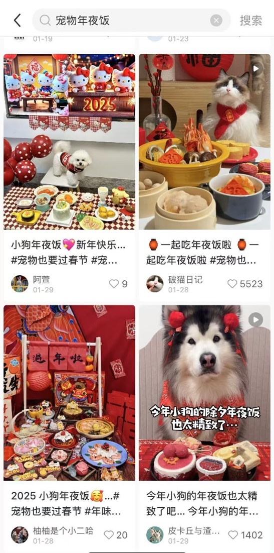 Screenshot from RedNote after searching 