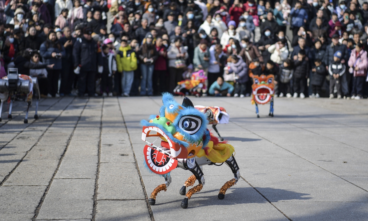 A robot dog dressed in a lion dance costume performs at Daming Lake in Jinan, East China's Shandong  Province on February 12, 2025, which is the Lantern Festival, drawing crowds of tourists. An industry report said that China's humanoid robot market reached 2.76 billion yuan ($377.56 million) in 2024. Photo: VCG