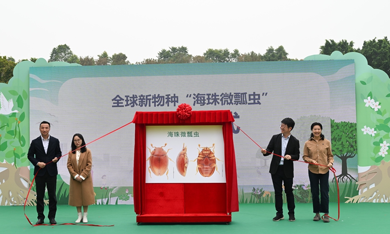 People attend a ceremony introducing the new species Eidoreus haizhuensis in the Haizhu National Wetland Park in Guangzhou, South China's Guangdong Province, on February 16, 2025. This new species was discovered during a Haizhu wetland insect survey in 2022 and was named after the area. Photo: VCG