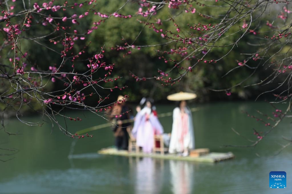 People in traditional costumes enjoy plum blossoms while riding a bamboo raft at the Xixi National Wetland Park in Hangzhou, east China's Zhejiang Province, Feb. 18, 2025. The Xixi wetland in Hangzhou has entered the best season for viewing plum blossoms. (Photo: Xinhua)