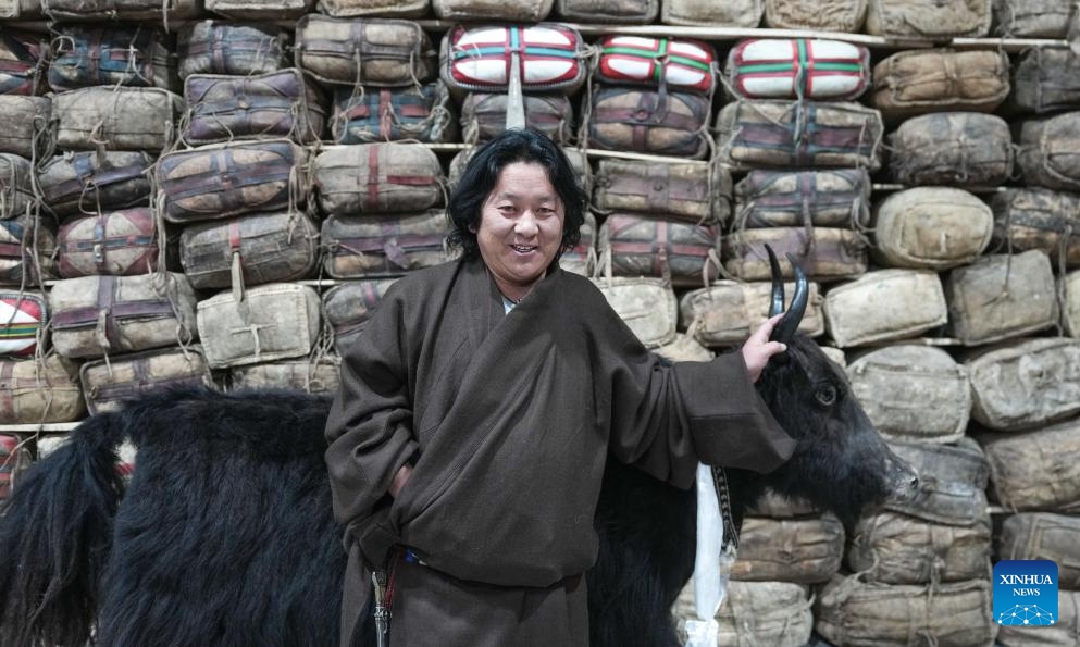 Drup Drup, owner of a Tibetan-style teahouse, poses at his teahouse in Seni District of Nagqu, southwest China's Xizang Autonomous Region, Feb. 13, 2025. Covering an area of around 1,200 square meters, the Tibetan-style teahouse presents customers with both Tibetan delicacies and immersive experiences of folklore culture. Themed over 3,000 pieces of traditional Tibetan folk artifacts, the teahouse offers a lens through which people can learn about the northern Xizang nomadic culture. (Photo: Xinhua)