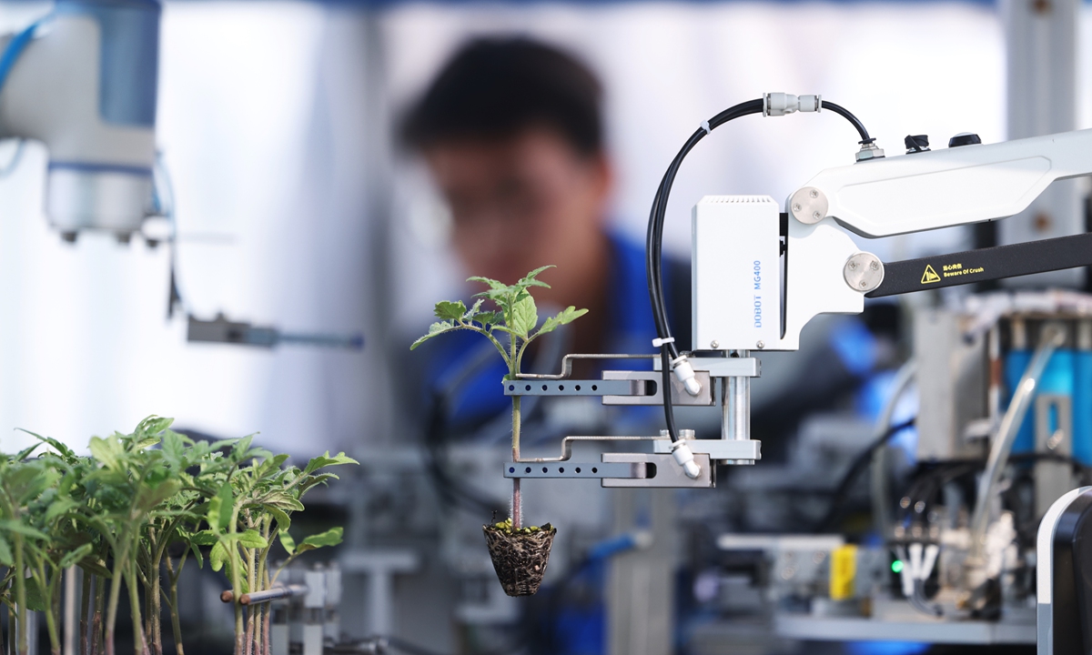 An operator observes a robot as it grafts tomato seedlings on February 19, 2025, in Jiaxing, East China's Zhejiang Province. According to the General Administration of Customs, in 2024, China's agricultural product exports reached 732.97 billion yuan ($100.6 billion), a year-on-year increase of 5.3 percent. Photo: VCG