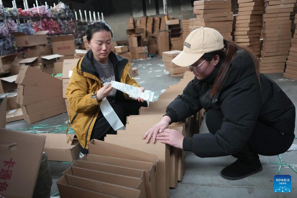 Staff members check kite parcels at a kite making company in Wangjiazhuangzi Village of Fangzi District in Weifang City, east China's Shandong Province, Feb. 18, 2025. Weifang is home to more than 600 kite manufacturers, with their annual output value exceeding two billion yuan (about 274.6 million U.S. dollars) and their products sold to over 50 countries and regions. (Photo: Xinhua)