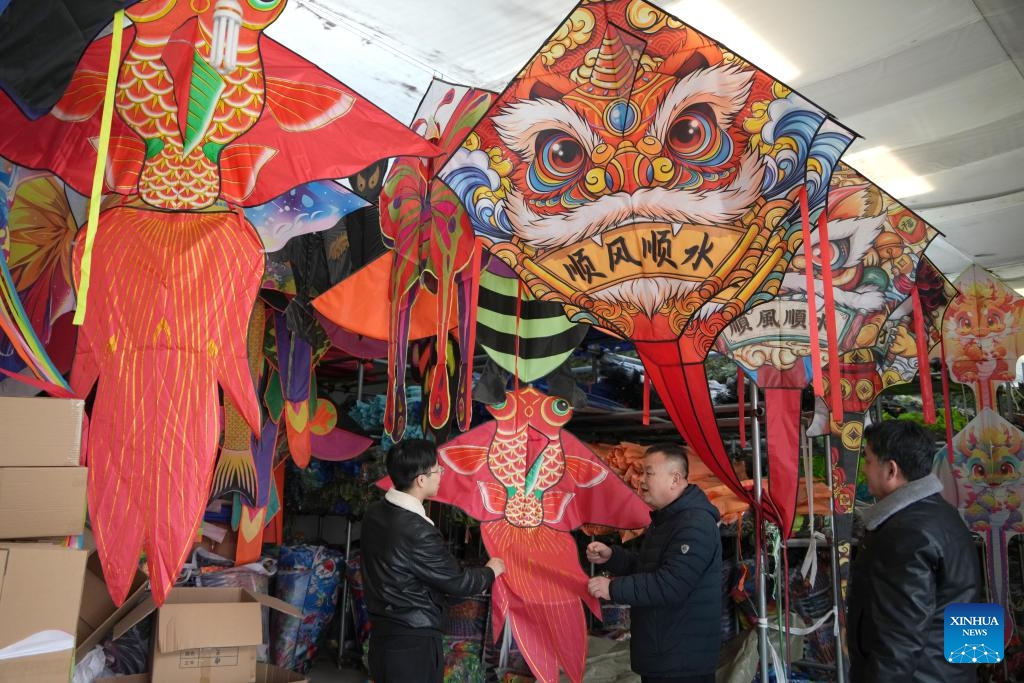 People view kite products at a kite making company in Wangjiazhuangzi Village of Fangzi District in Weifang City, east China's Shandong Province, Feb. 18, 2025. Weifang is home to more than 600 kite manufacturers, with their annual output value exceeding two billion yuan (about 274.6 million U.S. dollars) and their products sold to over 50 countries and regions. (Photo: Xinhua)