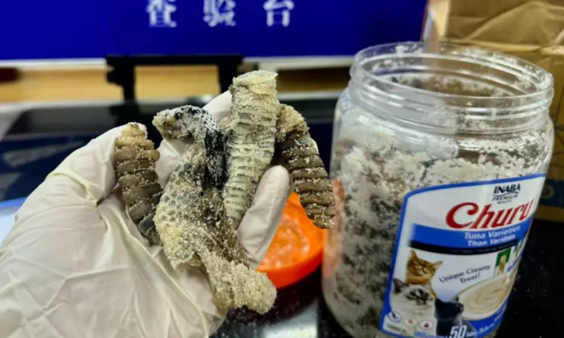 Salted raw rattlesnake meat seized by customs officers in Nanjing, East China's Jiangsu Province Photo: China's General Administration of Customs
