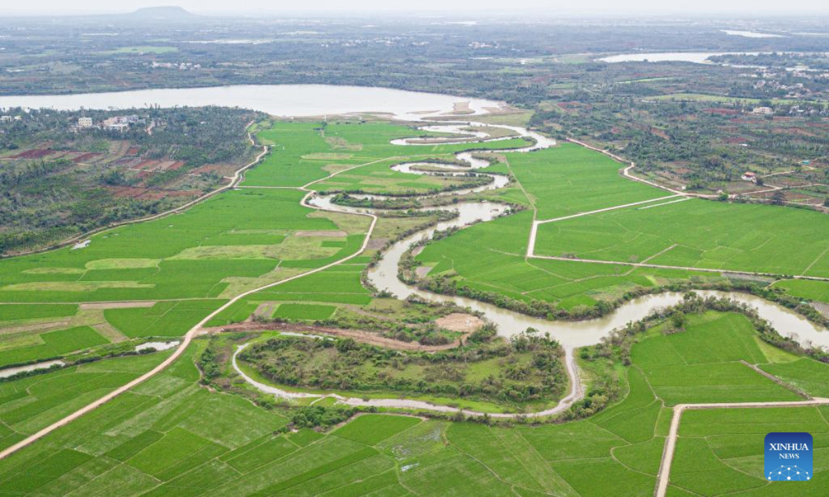 An aerial drone photo taken on March 1, 2025 shows a tributary of the Nandu River meandering through a paddy field in Qiongshan District of Haikou, south China's Hainan Province. (Xinhua/Pu Xiaoxu)
