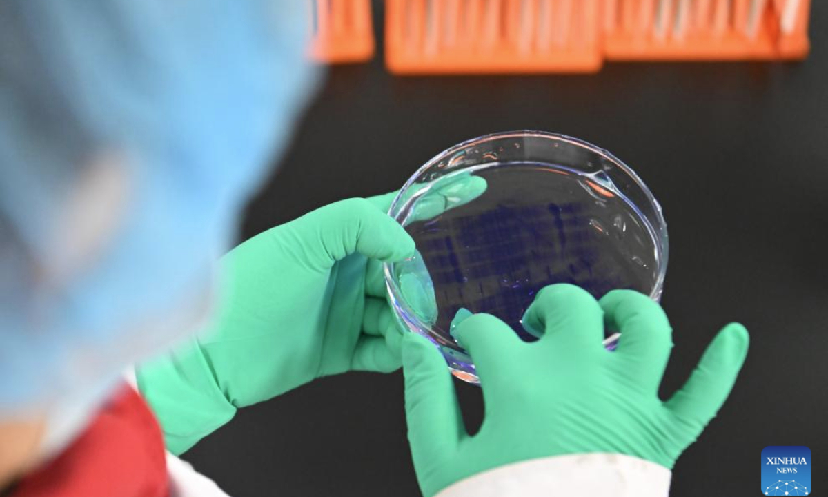 A staff member checks the condition of a petri dish at a biomedical company in the Beijing-Tianjin Zhongguancun Tech Town, in Tianjin, north China, Feb. 20, 2025.

As a key cooperation platform for Beijing and Tianjin to jointly implement the national strategy for the coordinated development of Beijing-Tianjin-Hebei region, and the first asset-heavy project of Zhongguancun outside Beijing, the Beijing-Tianjin Zhongguancun Tech Town has registered a total of 1,800 market players of various types, including enterprises of information technology, high-end equipment manufacturing and biomedicine. (Xinhua/Sun Fanyue)