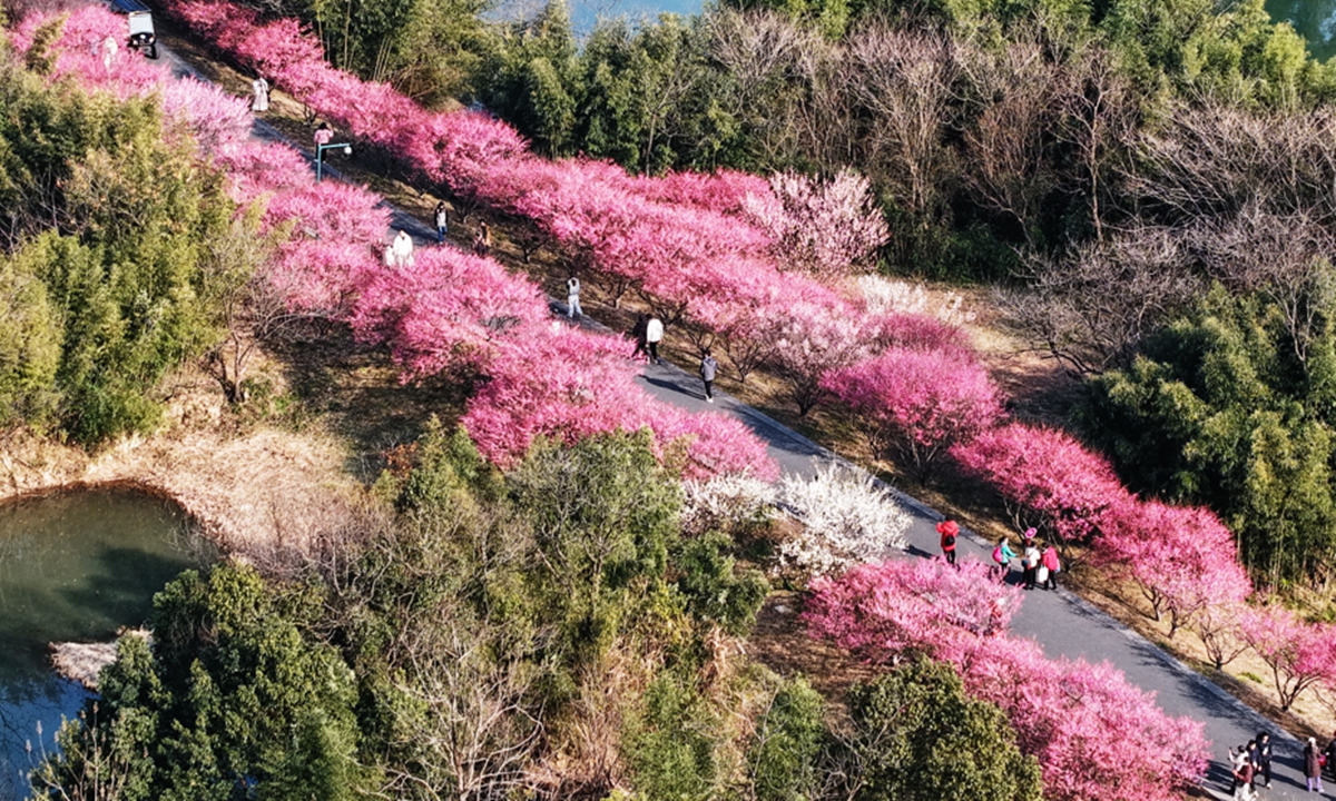 People enjoy the blooming plum blossoms in the Xixi National Wetland Park in Hangzhou, East China's Zhejiang Province, on February 24, 2025. Many locals and tourists are attracted to the plum blossoms along the winding waters and seek to experience the beautiful early spring scenery by boat or on foot. Photo: VCG