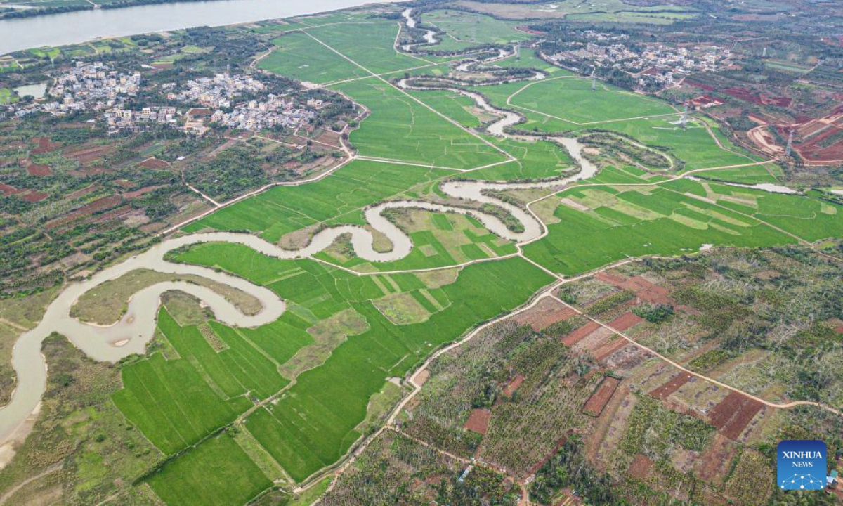 An aerial drone photo taken on March 1, 2025 shows a tributary of the Nandu River meandering through a paddy field in Qiongshan District of Haikou, south China's Hainan Province. (Xinhua/Pu Xiaoxu)