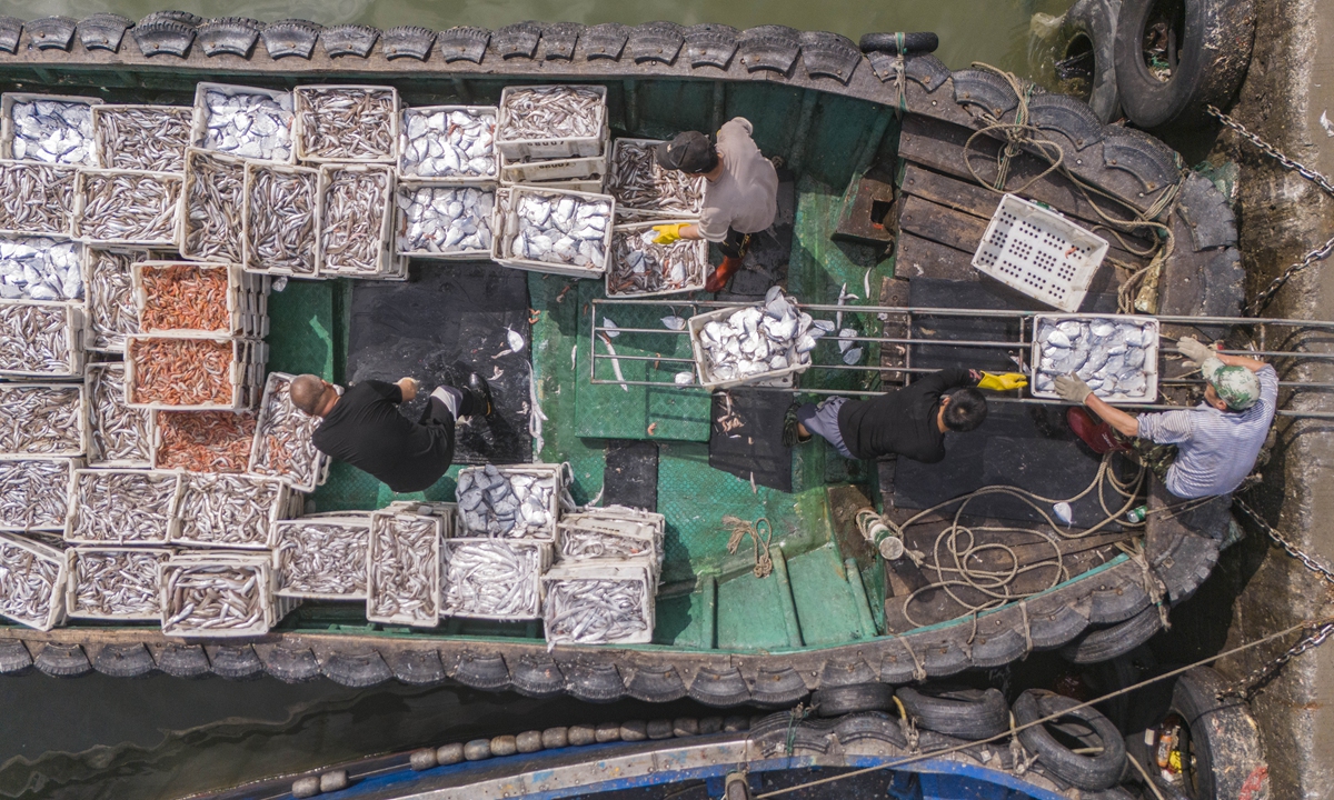 Fishermen unload fresh catches at Qinglan Port of Wenchang, South China's Hainan Province on February 27, 2025. It's the fishing season in the South China Sea, and fishing boats return to port, with catches ready to supply the market. Photo: VCG