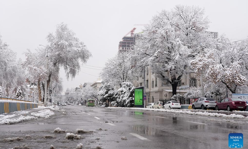 This photo taken on Feb. 26, 2025 shows the snow scenery in Tashkent, capital of Uzbekistan. (Photo: Xinhua)