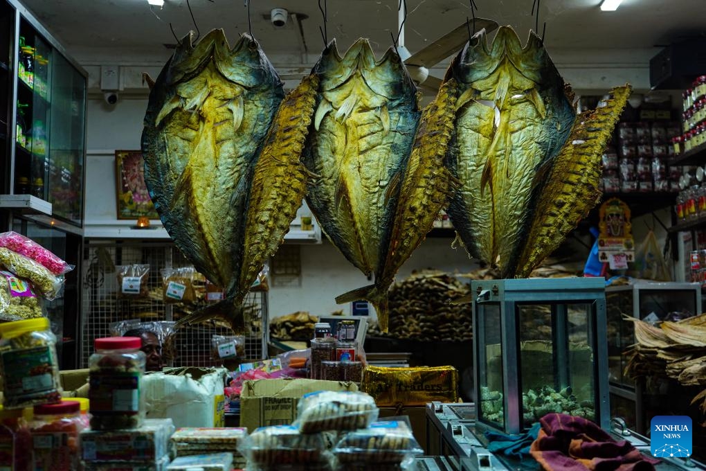 This photo taken on Feb. 22, 2025 shows seafood displayed at a shop in Jaffna, Sri Lanka. Located in northern Sri Lanka, Jaffna is a coastal city heavily ravaged during a long-term civil war. Today people here have embraced a new life. (Photo: Xinhua)