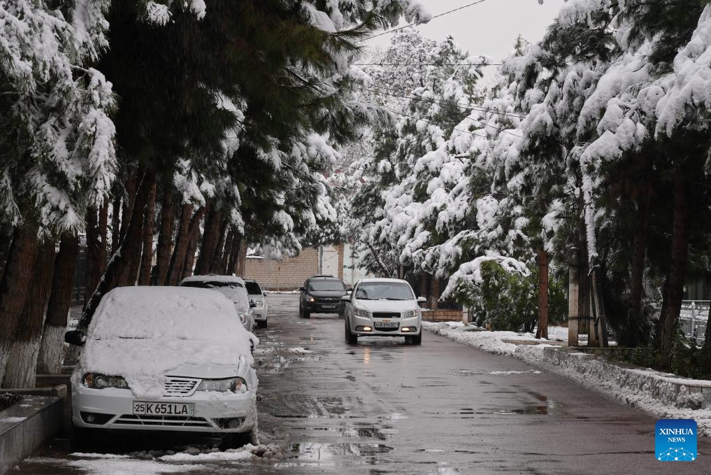 This photo taken on Feb. 26, 2025 shows the snow scenery in Tashkent, capital of Uzbekistan. (Photo: Xinhua)