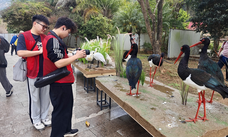 A bird watching enthusiast photographs a bird specimen display at the Fuzhou National Forest Park, East China's Fujian Province, on March 3, 2025. The day marked the 12th World Wildlife Day, which took the theme