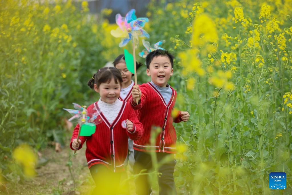 Children have fun at a flowering canola field in Chuanshan District of Suining City, southwest China's Sichuan Province, March 4, 2025. (Photo: Xinhua)