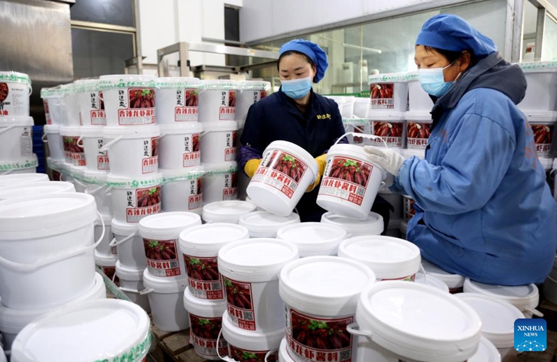 Workers operate at a crayfish condiment company in Xuyi County, east China's Jiangsu Province, March 8, 2025. As the temperature rises, crayfish are on the market in Xuyi County, a well-known crayfish production hub in China. In recent years, Xuyi has vigorously developed crayfish industry. The ecological breeding area of crayfish in the county has reached one million mu (about 66,667 hectares), and over 210,000 people are involved in the crayfish industry. Crayfish industry has become a boost to the local rural revitalization. Photo: Xinhua