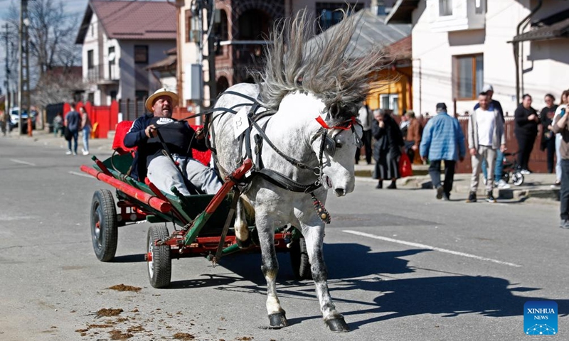 A man prepares his horse for a caballine beauty contest during the celebration of the traditional Tudorita holiday, also known as the Easter of Horses, in Targoviste, Romania, March 8, 2025. Easter of Horses is celebrated by the local Bulgarian community and symbolizes the start of agricultural work in the new year. Photo: Xinhua