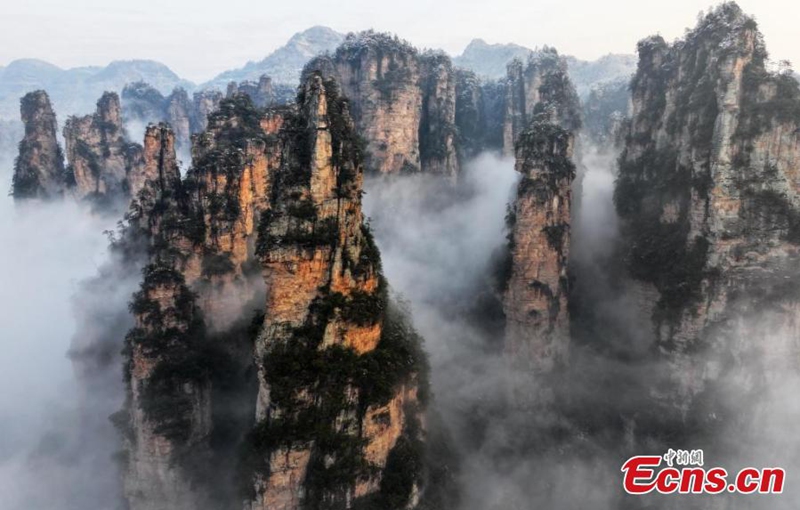 Rime-covered rock pillars stretch up endlessly to the sky in the land of Avatar at Tianzishan Scenic Area of Zhangjiajie, central China's Hunan Province, Mar. 6, 2025. (Photo provided to China News Service)





