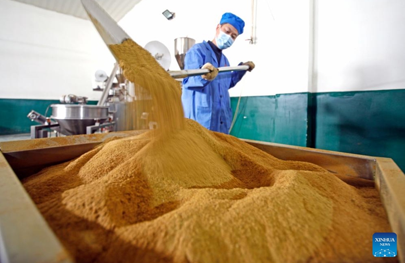 A worker operates at a crayfish condiment company in Xuyi County, east China's Jiangsu Province, March 8, 2025. As the temperature rises, crayfish are on the market in Xuyi County, a well-known crayfish production hub in China. In recent years, Xuyi has vigorously developed crayfish industry. The ecological breeding area of crayfish in the county has reached one million mu (about 66,667 hectares), and over 210,000 people are involved in the crayfish industry. Crayfish industry has become a boost to the local rural revitalization. Photo: Xinhua