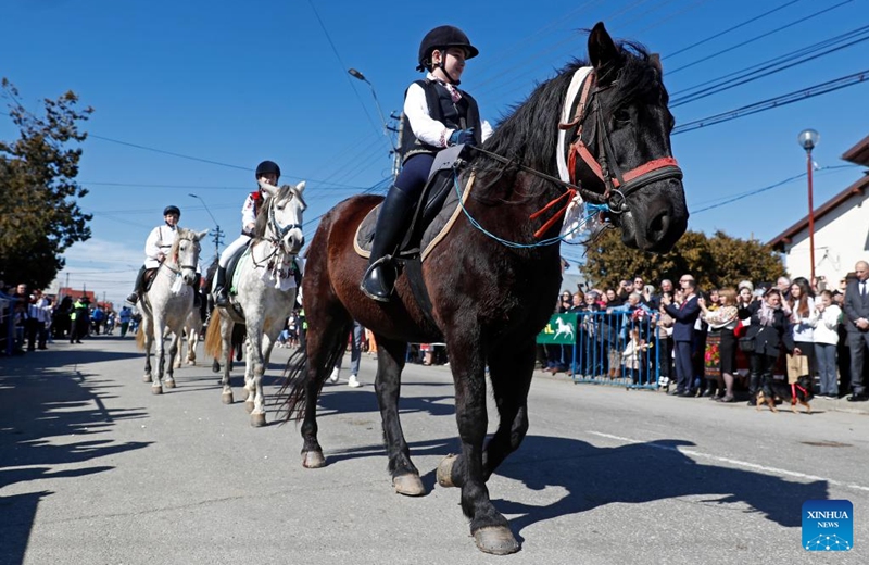Children ride their horses for a caballine beauty contest during the celebration of the traditional Tudorita holiday, also known as the Easter of Horses, in Targoviste, Romania, March 8, 2025. Easter of Horses is celebrated by the local Bulgarian community and symbolizes the start of agricultural work in the new year. Photo: Xinhua